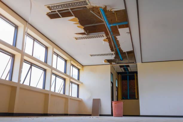 Best Water damage contractors near me  in West Lawn, PA