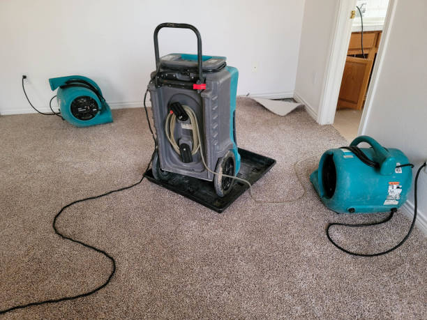Water damage restoration experts in West Lawn, PA