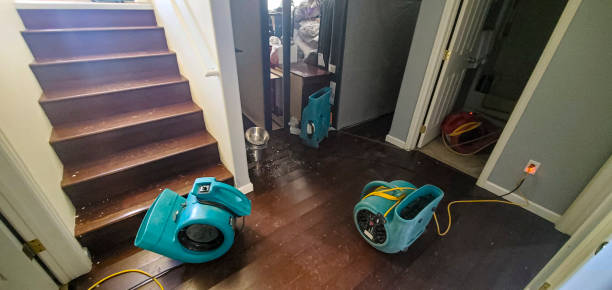 Best Water damage restoration specialists  in West Lawn, PA