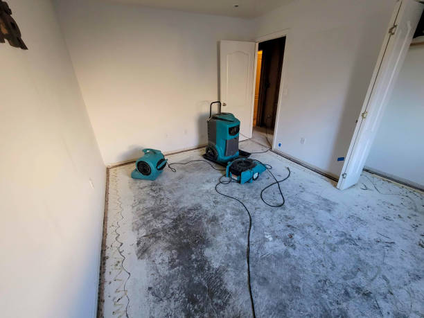 Best Mold removal after water damage  in West Lawn, PA