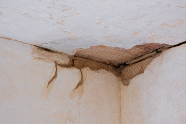 Best Fire Damage Restoration  in West Lawn, PA