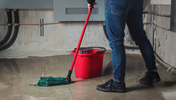 Best 24/7 water damage repair  in West Lawn, PA