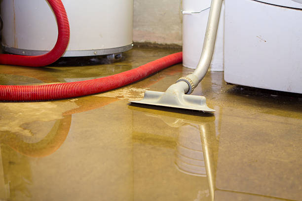 Best Emergency water damage restoration  in West Lawn, PA