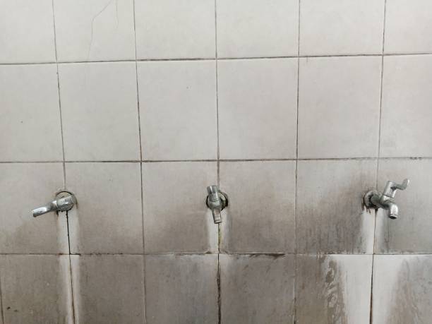 Best Sewage cleanup and water damage restoration  in West Lawn, PA