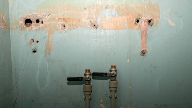Best 24-hour water damage restoration  in West Lawn, PA