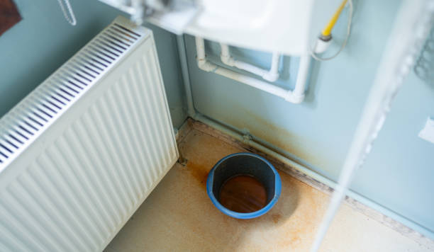 Best Professional water damage repair  in West Lawn, PA
