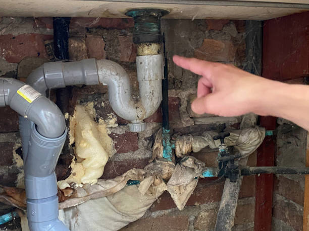 Best Water damage cleanup near me  in West Lawn, PA